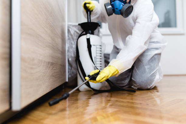 Best Pest Inspection Near Me  in Nora Springs, IA