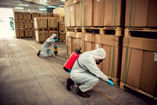 Best Affordable Pest Control Services  in Nora Springs, IA