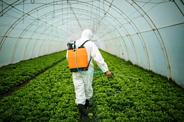 Reliable Nora Springs, IA Pest Control Solutions