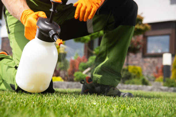 Best Exterminator Services  in Nora Springs, IA