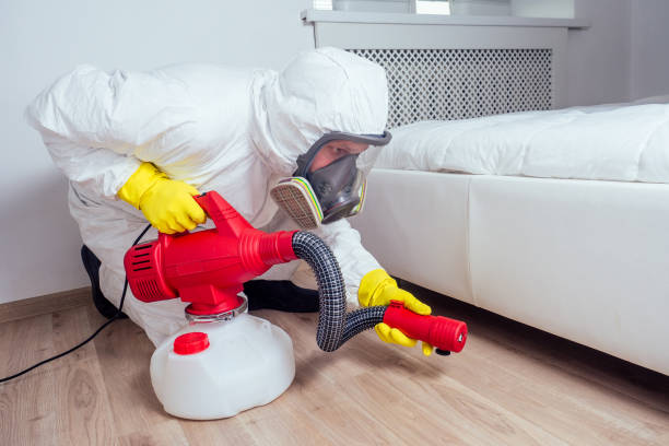 Best Mosquito Control Services  in Nora Springs, IA