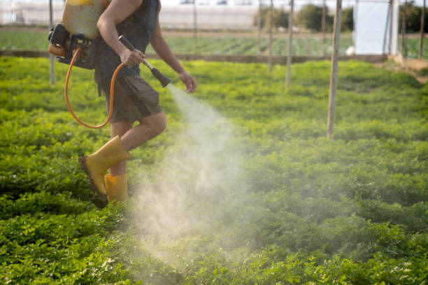 Best Pest Removal Services  in Nora Springs, IA