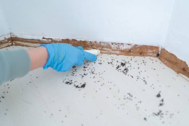 Best Wildlife Control Services  in Nora Springs, IA